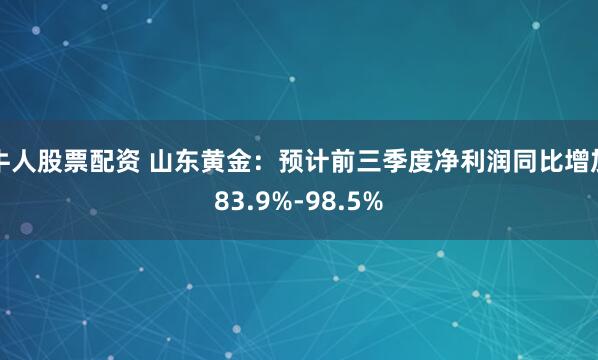 牛人股票配资 山东黄金：预计前三季度净利润同比增加83.9%-98.5%