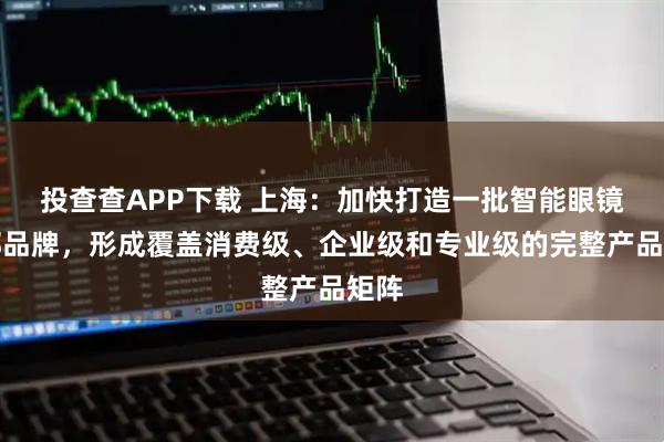 投查查APP下载 上海：加快打造一批智能眼镜头部品牌，形成覆盖消费级、企业级和专业级的完整产品矩阵
