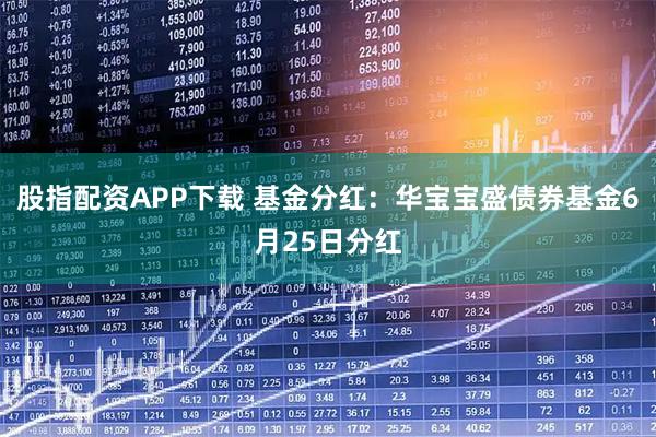 股指配资APP下载 基金分红：华宝宝盛债券基金6月25日分红