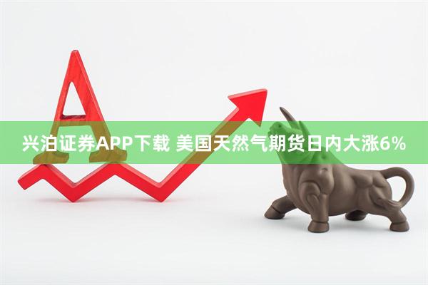 兴泊证券APP下载 美国天然气期货日内大涨6%