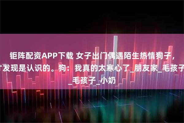 钜阵配资APP下载 女子出门偶遇陌生热情狗子，后来才发现是认识的。狗：我真的太寒心了_朋友家_毛孩子_小奶