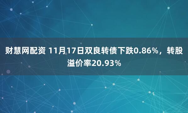 财慧网配资 11月17日双良转债下跌0.86%，转股溢价率20.93%