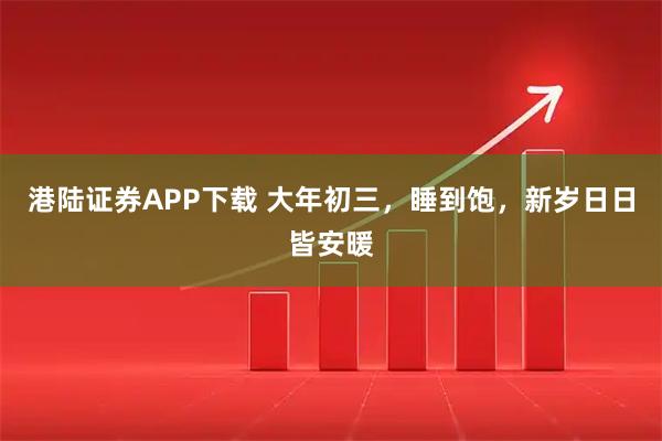 港陆证券APP下载 大年初三，睡到饱，新岁日日皆安暖
