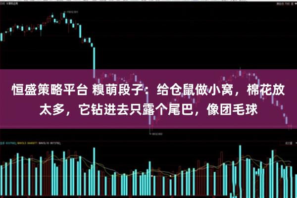 恒盛策略平台 糗萌段子：给仓鼠做小窝，棉花放太多，它钻进去只露个尾巴，像团毛球