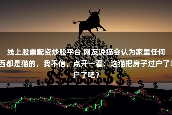 线上股票配资炒股平台 网友说猫会认为家里任何东西都是猫的，我不信，点开一看：这猫把房子过户了吧？